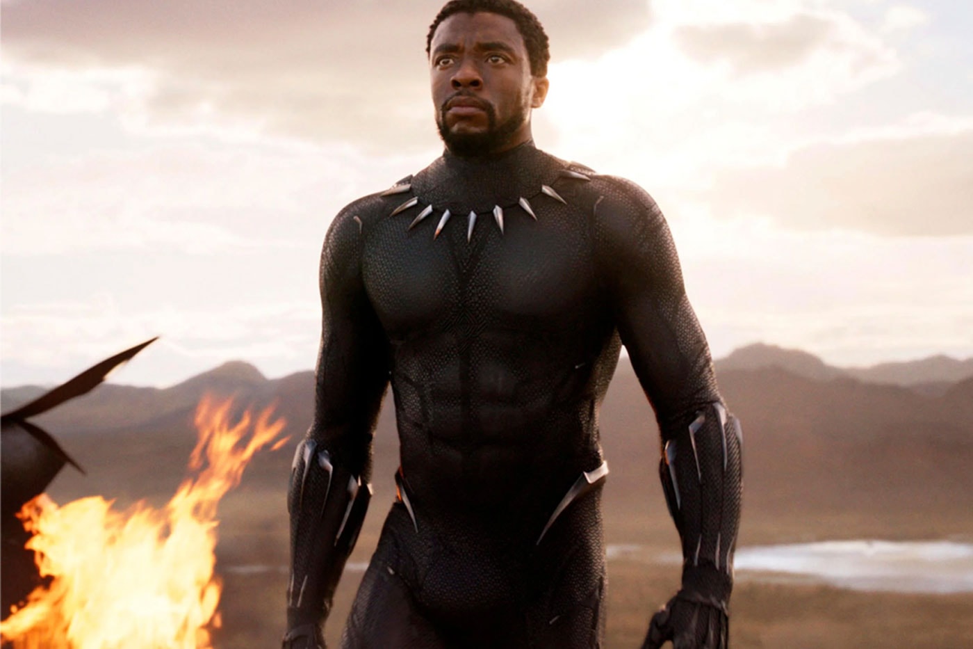 Fans Are Petitioning To Recast T'Challa for the MCU marvel cinematic universe black panther wakanda forever Studios