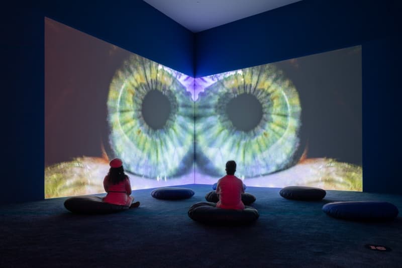 "Pipilotti Rist: Big Heartedness, Be My Neighbor" MOCA