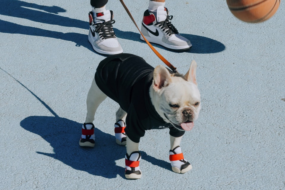 Observatory Tweet have fun RIFRUF Introduces FW21 Caesar 1S Dog Sneakers | HYPEBEAST