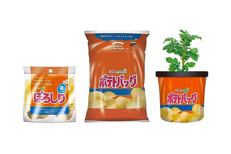 Calbee Releases Its Own Potato-Growing Kits