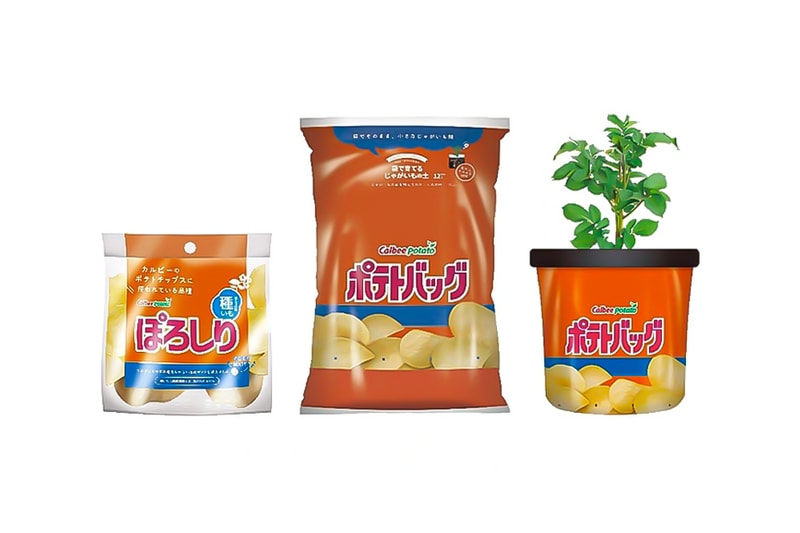 Calbee Seed Potatoes Potato Bag Release Info chips