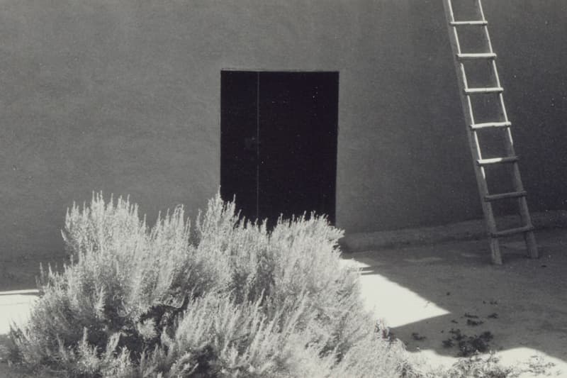 "Georgia O'Keefe: Photographer" Houston Exhibition