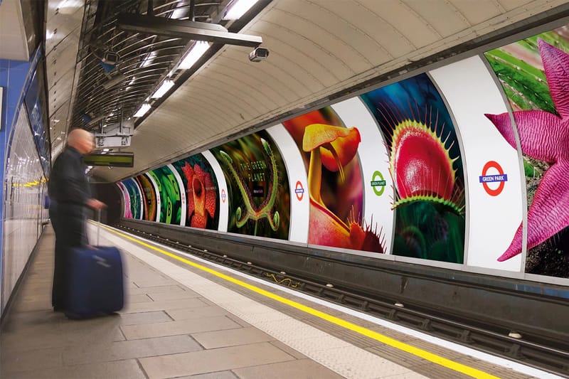 BBC Creative Transforms London Tube Station Into 'The Green Planet'
