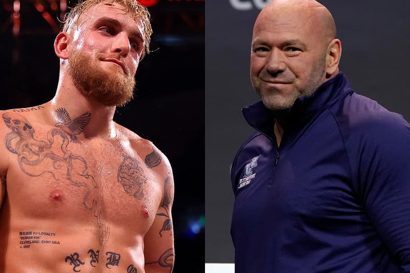 Dana White Jake Paul Retire Boxing UFC Fighter Pay Increase Response Info