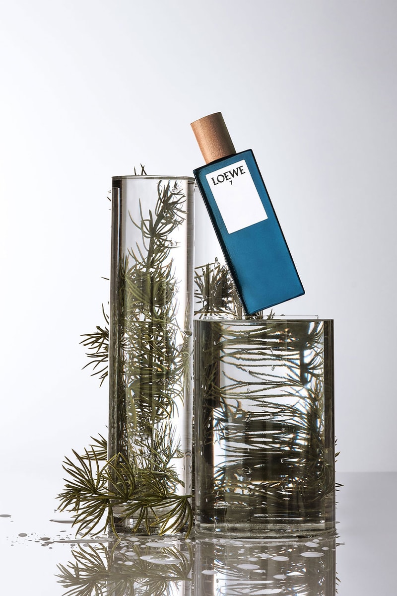 Loewe SOLO Perfume Botanical Rainbow Collection Release Info Buy