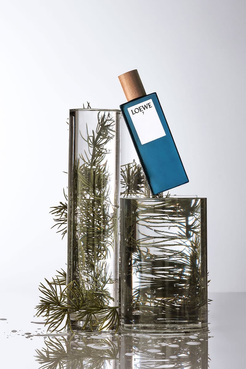 Loewe SOLO Perfume Botanical Rainbow Collection Release Info Buy
