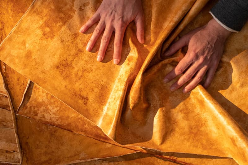 MycoWorks Secures $125 Million USD Funding mushroom leather Hermes sustainability series c