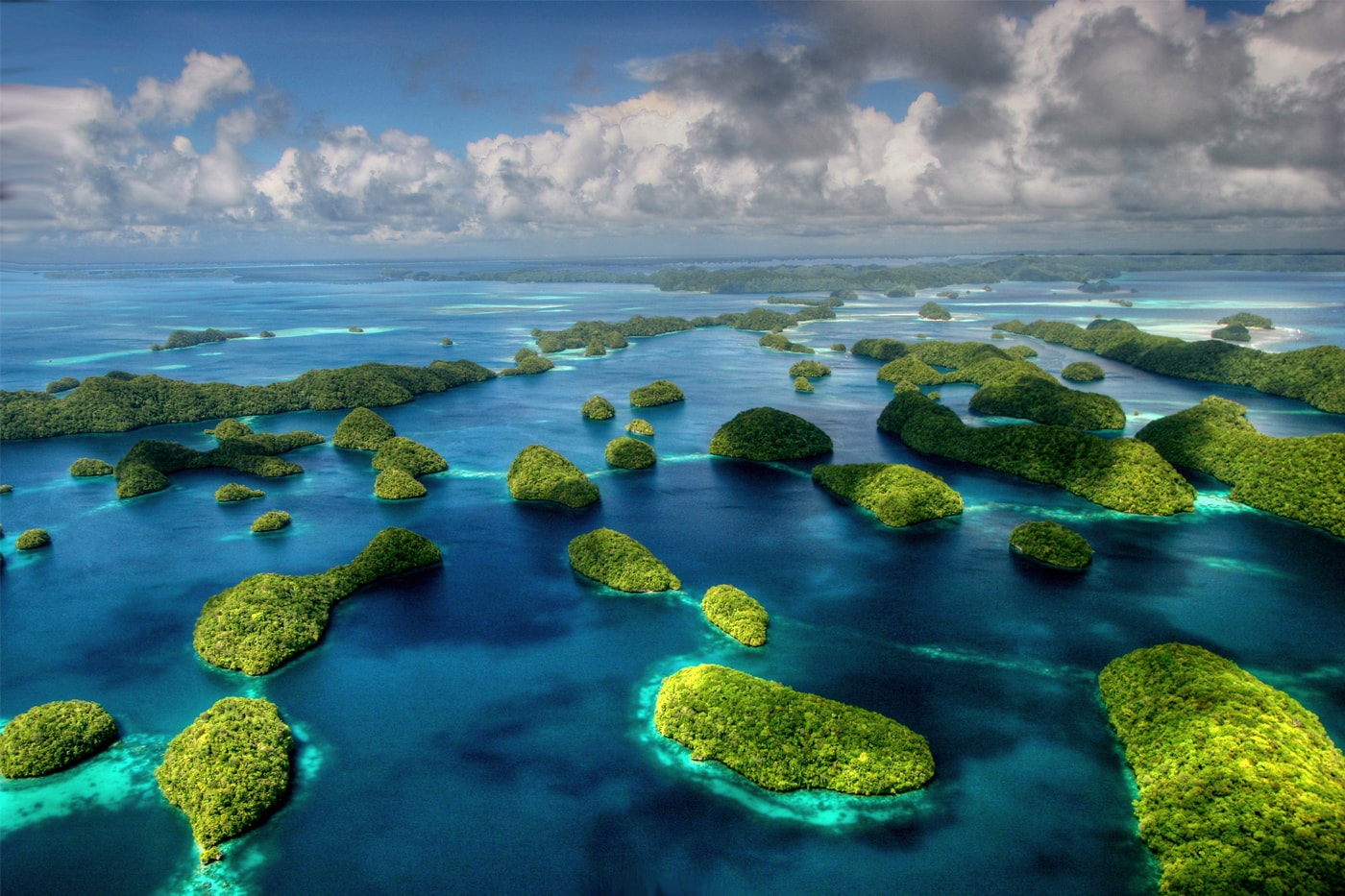 The Republic of Palau Launches a Digital Residency Program western pacific island NFT ID cryptic labs blockchain news