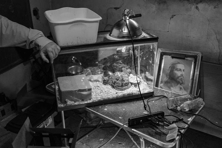 Robert LeBlanc Releases 'GLORYLAND' NFTs on SuperRare