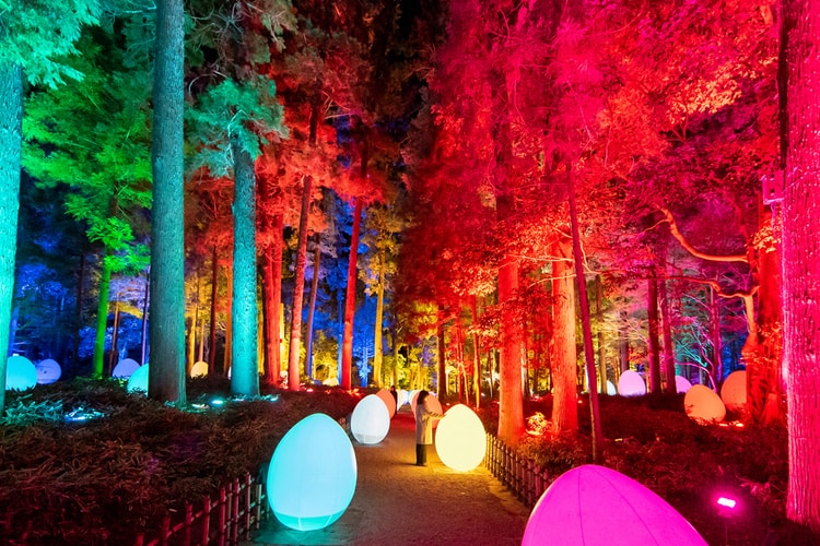 teamLab to Unveil 'Digitized Kairakuen Garden 2022'