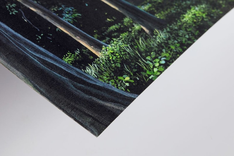 Tomás Sánchez 'En el paisaje interior' Avant Arte