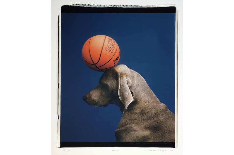 William Wegman 'Game, 2000' PLATFORM David Zwirner