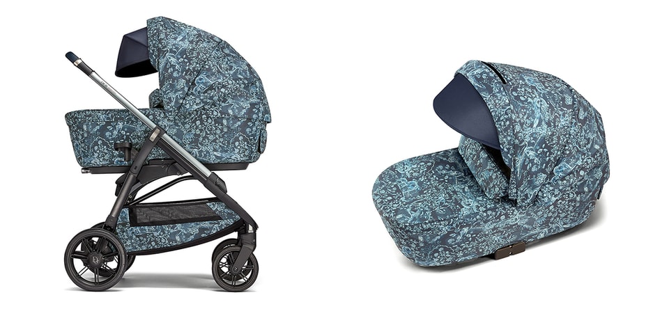Baby Dior and Inglesina House Realease $8,000 USD Bassinet Stroller Combo for SS22
