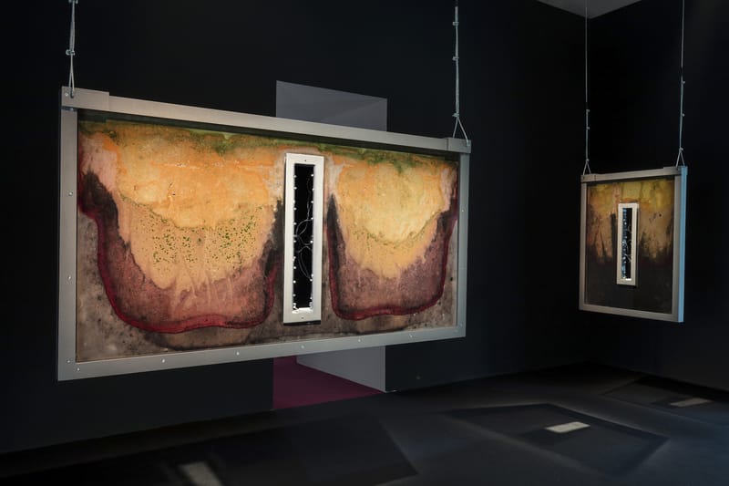 Anicka Yi to Showcase “Metaspore” at Pirelli HangarBicocca