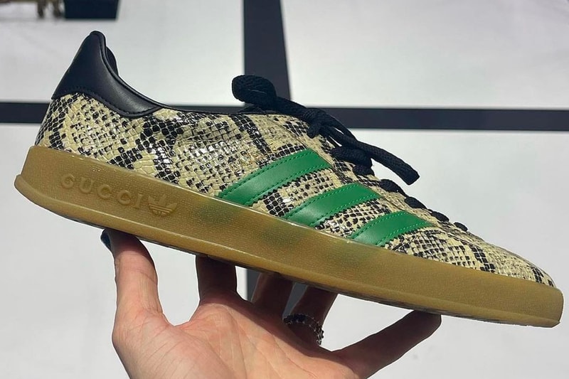 Gucci adidas Gazelle Sneakers First Look collaboration collab g monogram leather suede velvet snakeskin gum sole made in italy images pictures info
