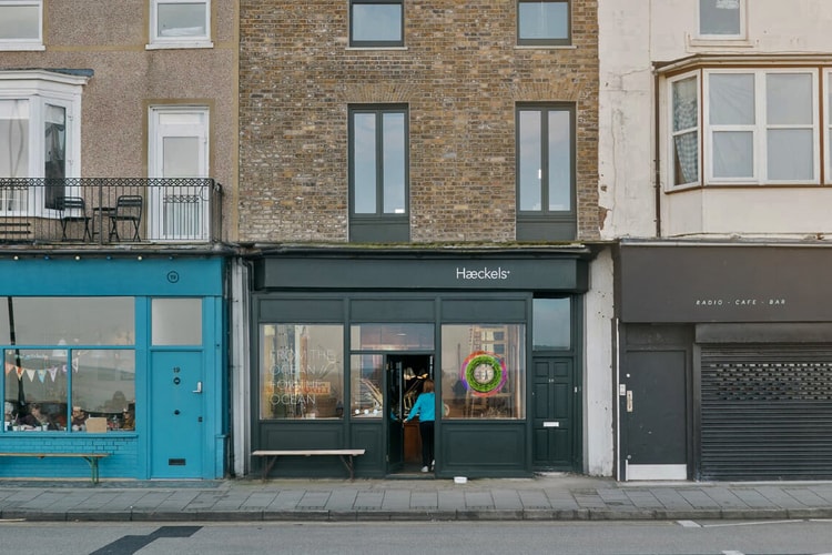 Estée Lauder Takes Minority Stake in Haeckels