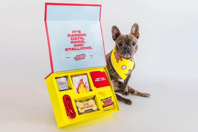 Megan Thee Stallion’s New Snapchat Show Comes With a Giveaway