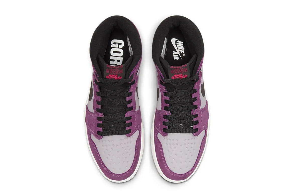 Nike Air Jordan 1 Element Gore-Tex Berry DB2889-500 shoes kicks sneakers footwear 