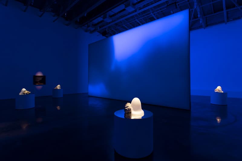Rachel Rose 'Enclosure' Gladstone Gallery' Film NYC