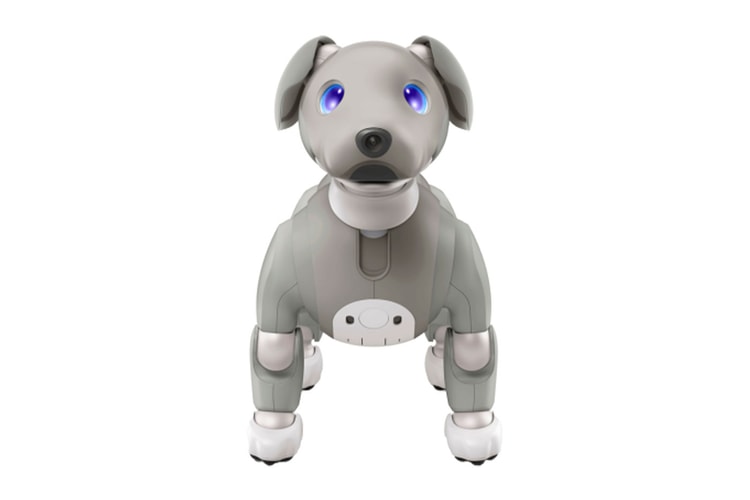 Sony Launches Aibo Robot Dog in 'Black Sesame' Edition
