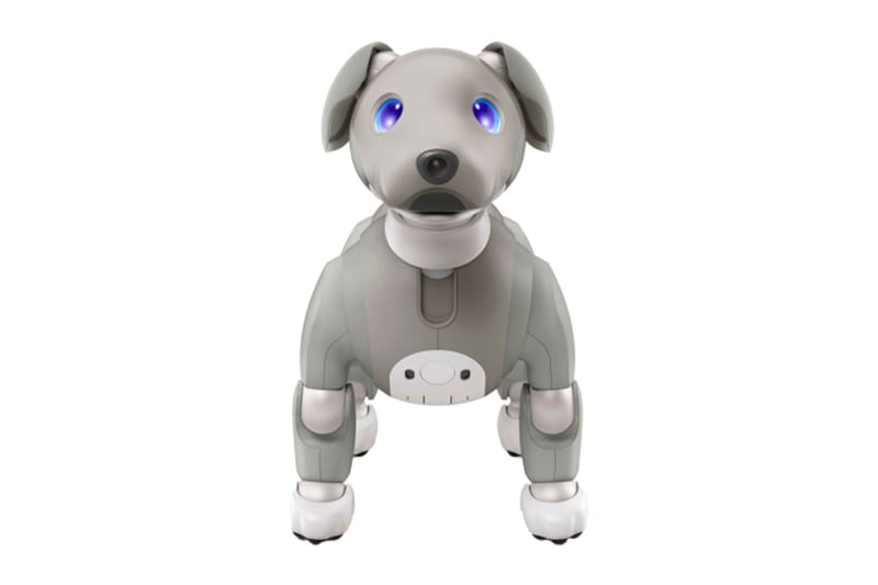 honda robot dog