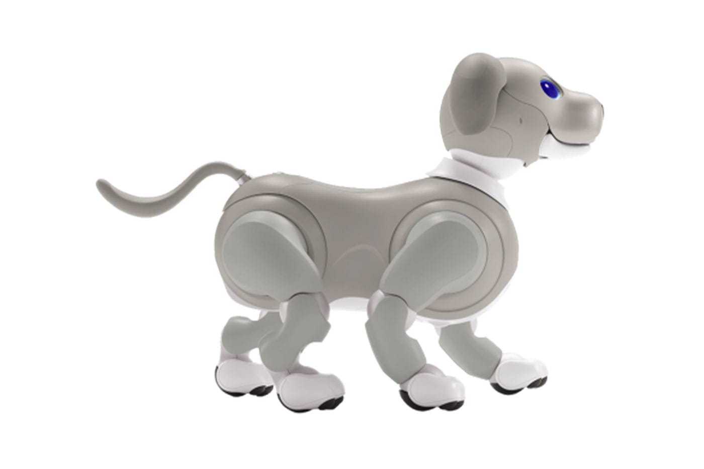 Sony Aibo Collar Electric dog pet CC-AIBOCOLLAR Color Camel from Japan NEW 