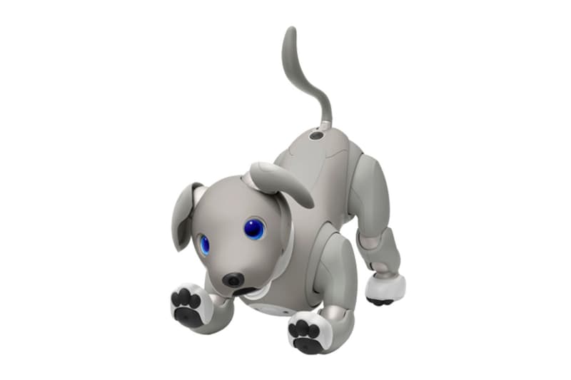 Sony Aibo Robot Dog Black Sesame Edition Release Info Buy Price Artifical Intelligence AI