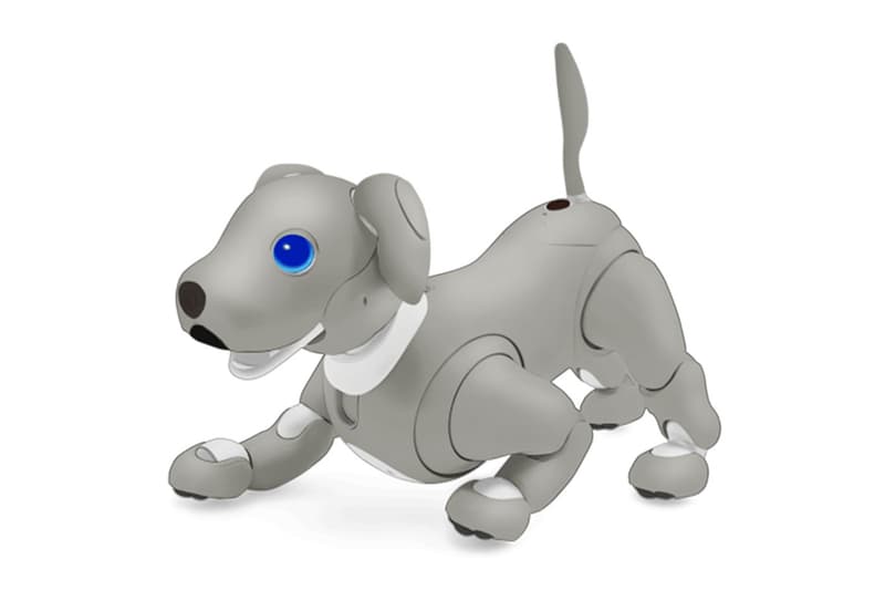 Sony Aibo Robot Dog Black Sesame Edition Release Info Buy Price Artifical Intelligence AI