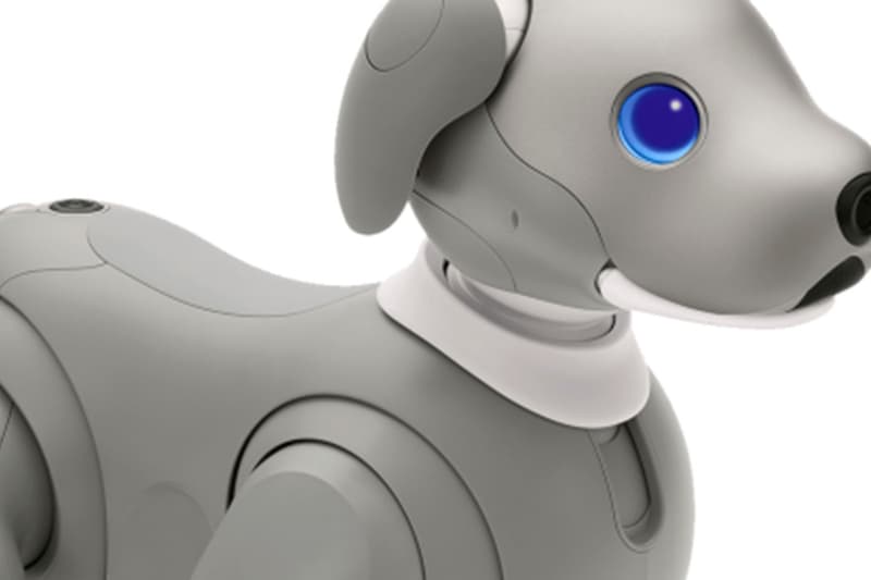 Sony Aibo Robot Dog Black Sesame Edition Release Info Buy Price Artifical Intelligence AI