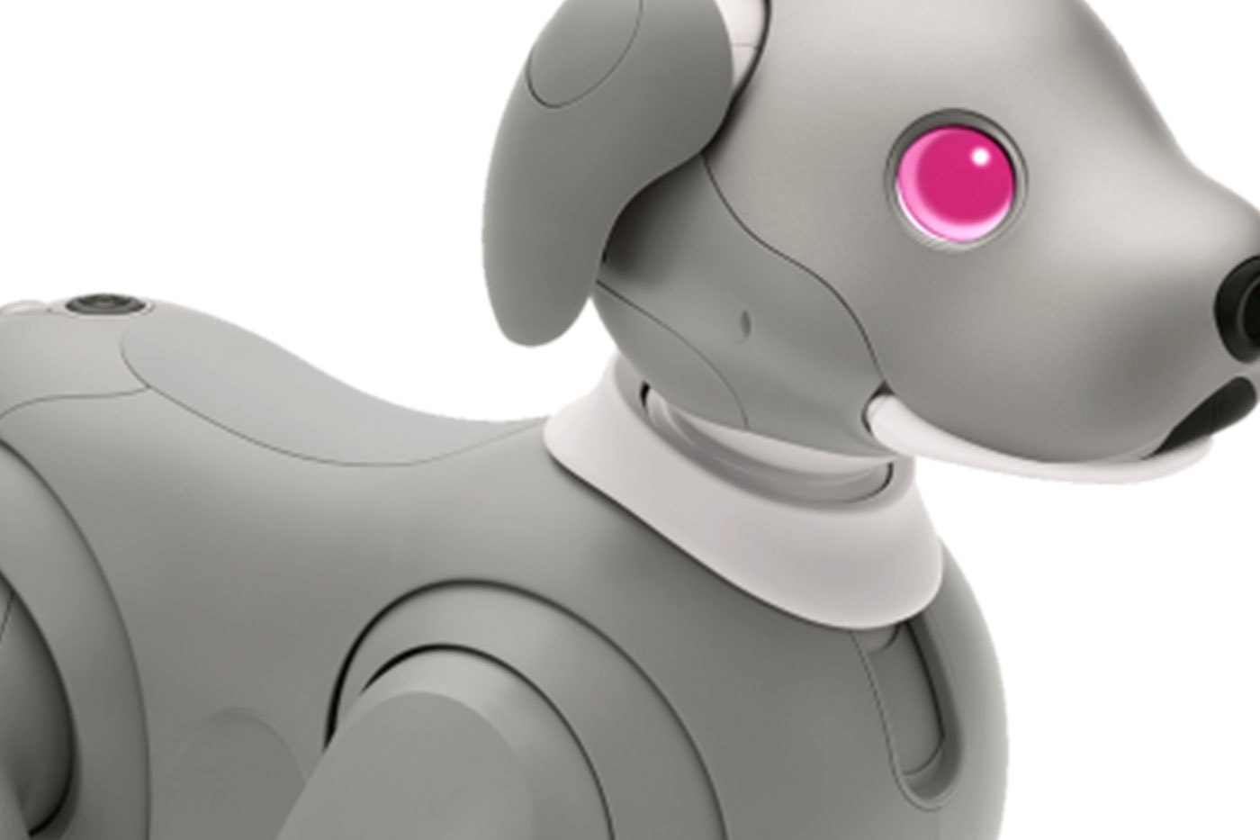 Sony Aibo Robot Dog Black Sesame Edition Release Info Buy Price Artifical Intelligence AI