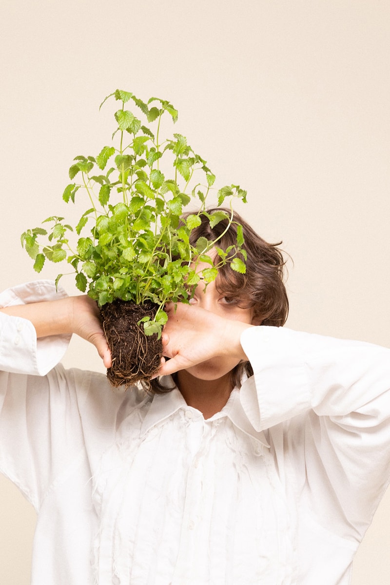 akre plant based sleep aide supplements vancouver release details Mind Flora Night Botanic