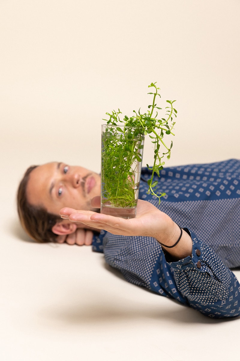 akre plant based sleep aide supplements vancouver release details Mind Flora Night Botanic