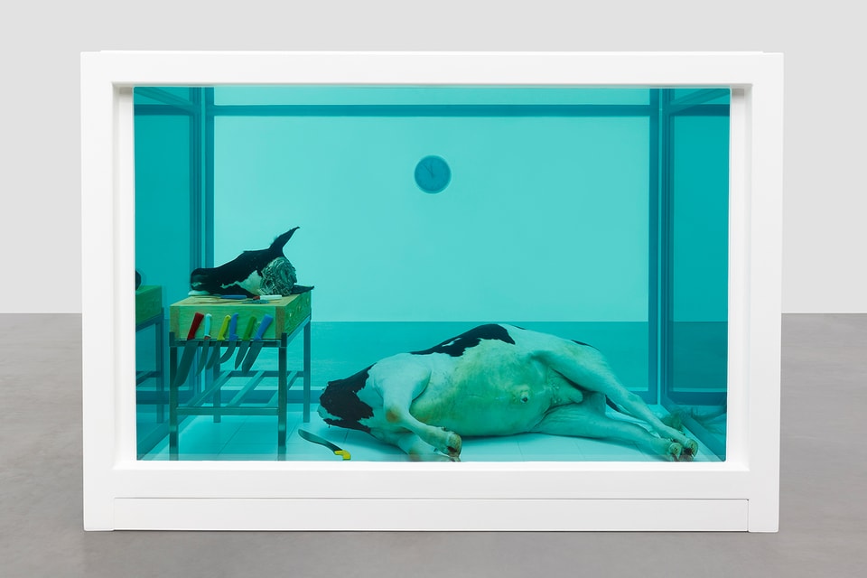 Damien Hirst Natural History Exhibition Gagosian | Hypebeast Damien Hirst Natural History Exhibition Gagosian | Hypebeast