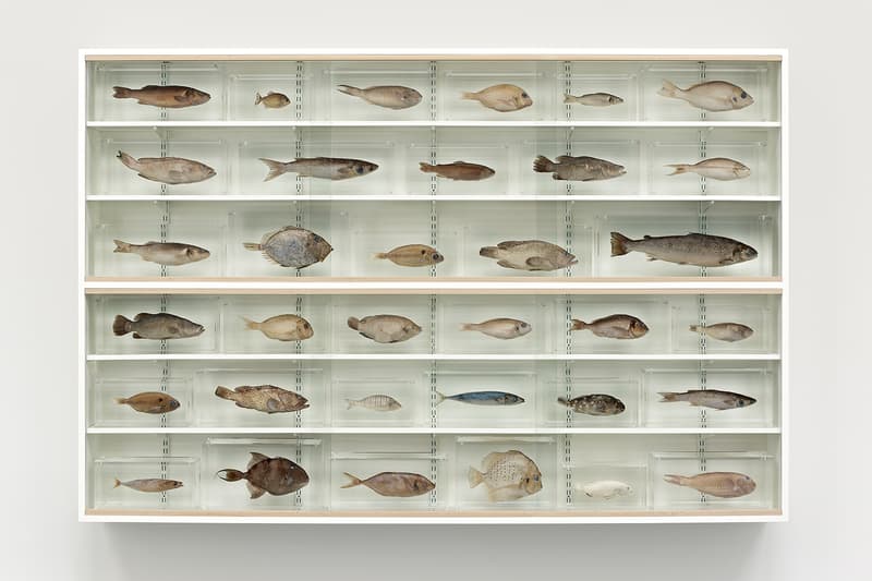 Damien Hirst Natural History Exhibition Formaldehyde Sculptures Gagosian London