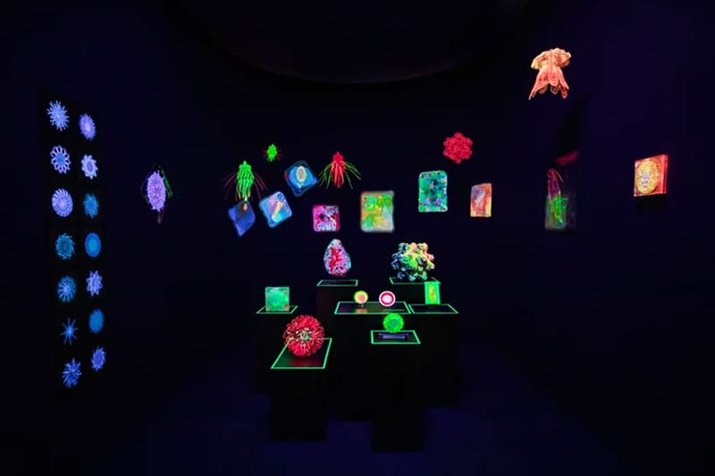 Miguel Chevalier Digital Abysses Aqua Planet Jeju Island undersea digital flora fauna immersive water exhibition interactive vr aquarium location information visit news time