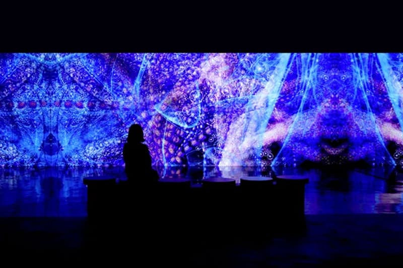 Miguel Chevalier Digital Abysses Aqua Planet Jeju Island undersea digital flora fauna immersive water exhibition interactive vr aquarium location information visit news time