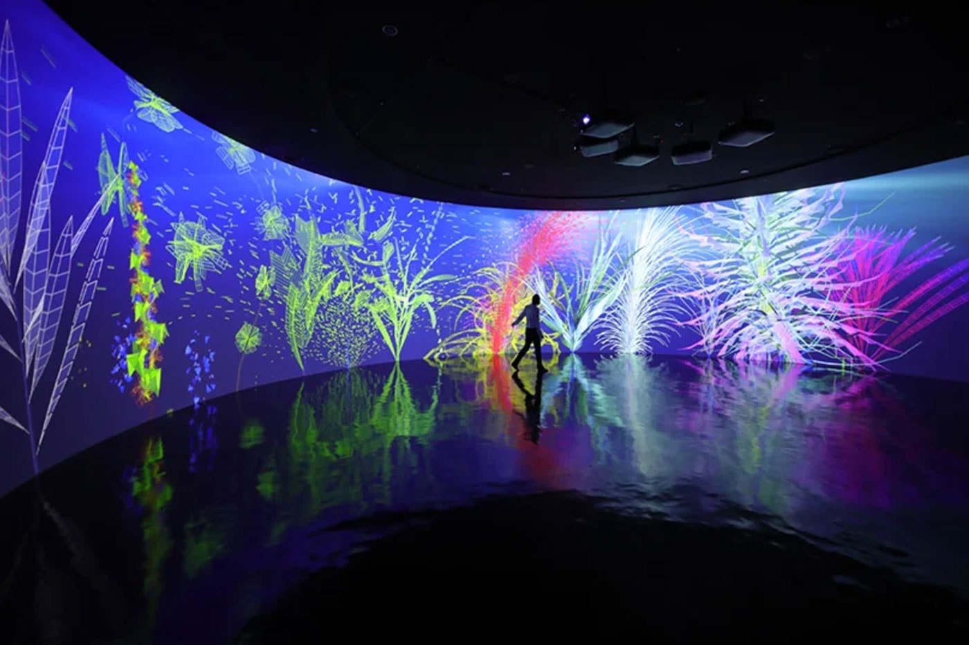 Miguel Chevalier Digital Abysses Aqua Planet Jeju Island undersea digital flora fauna immersive water exhibition interactive vr aquarium location information visit news time