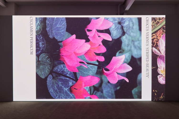 Mungo Thomson Presents "Time Life" at Karma Gallery