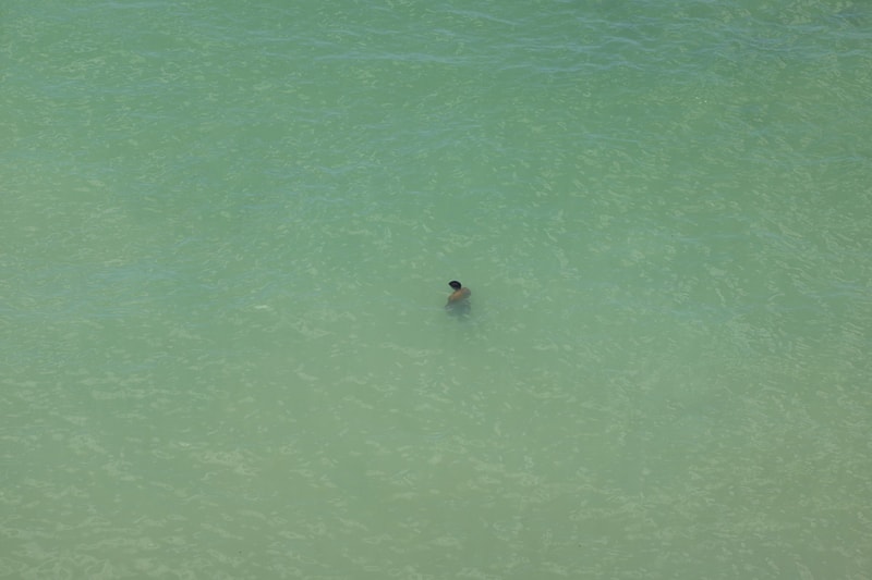 Richard Misrach Pace Gallery "Still Point" Photography