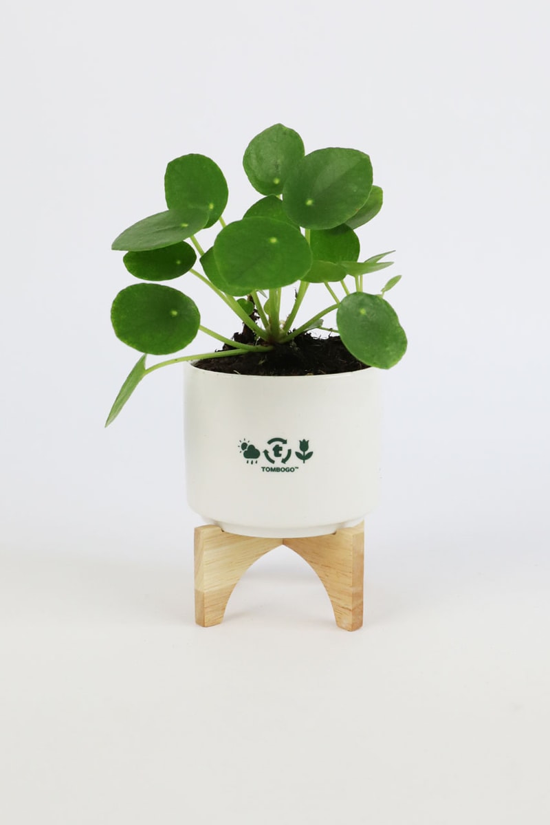 TOMBOGO Honors Nature With Earth Day Capsule Fashion