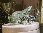 Adidas Adorns Predator Edge With Swarovski Crystals