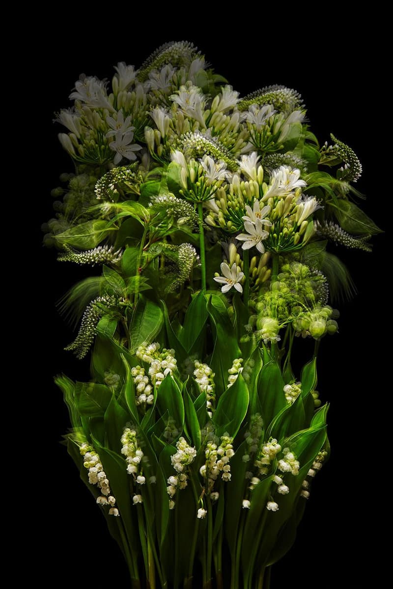 Azuma Makoto Crafts Floral Sculptures for La Collection Privee by Dior Latest Fragrance Line sakura gris dior lucky la colle noire jasmin des anges oud ispahan roses jasmine flowers date price release info price date