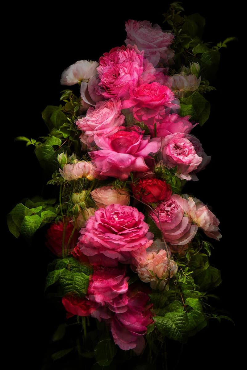 Azuma Makoto Crafts Floral Sculptures for La Collection Privee by Dior Latest Fragrance Line sakura gris dior lucky la colle noire jasmin des anges oud ispahan roses jasmine flowers date price release info price date