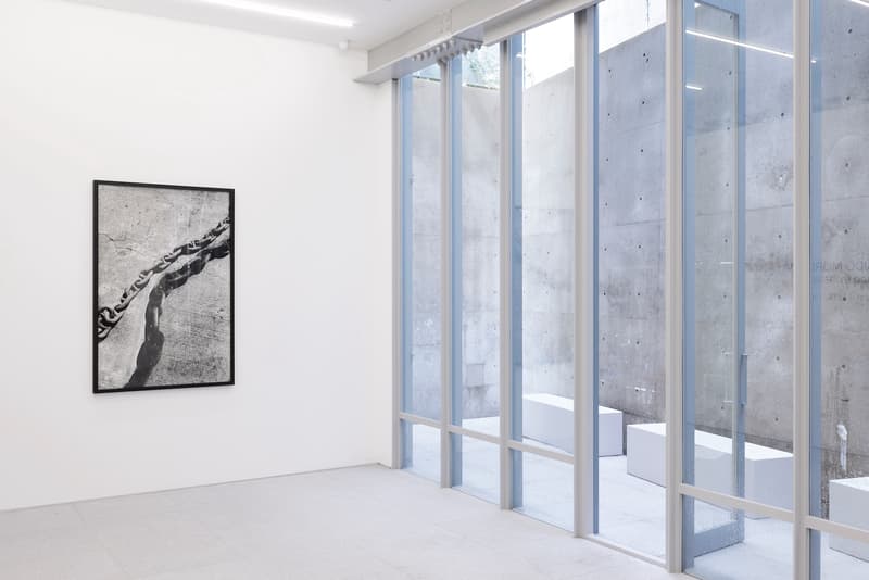 daido moriyama daido hysteric installation gallery common