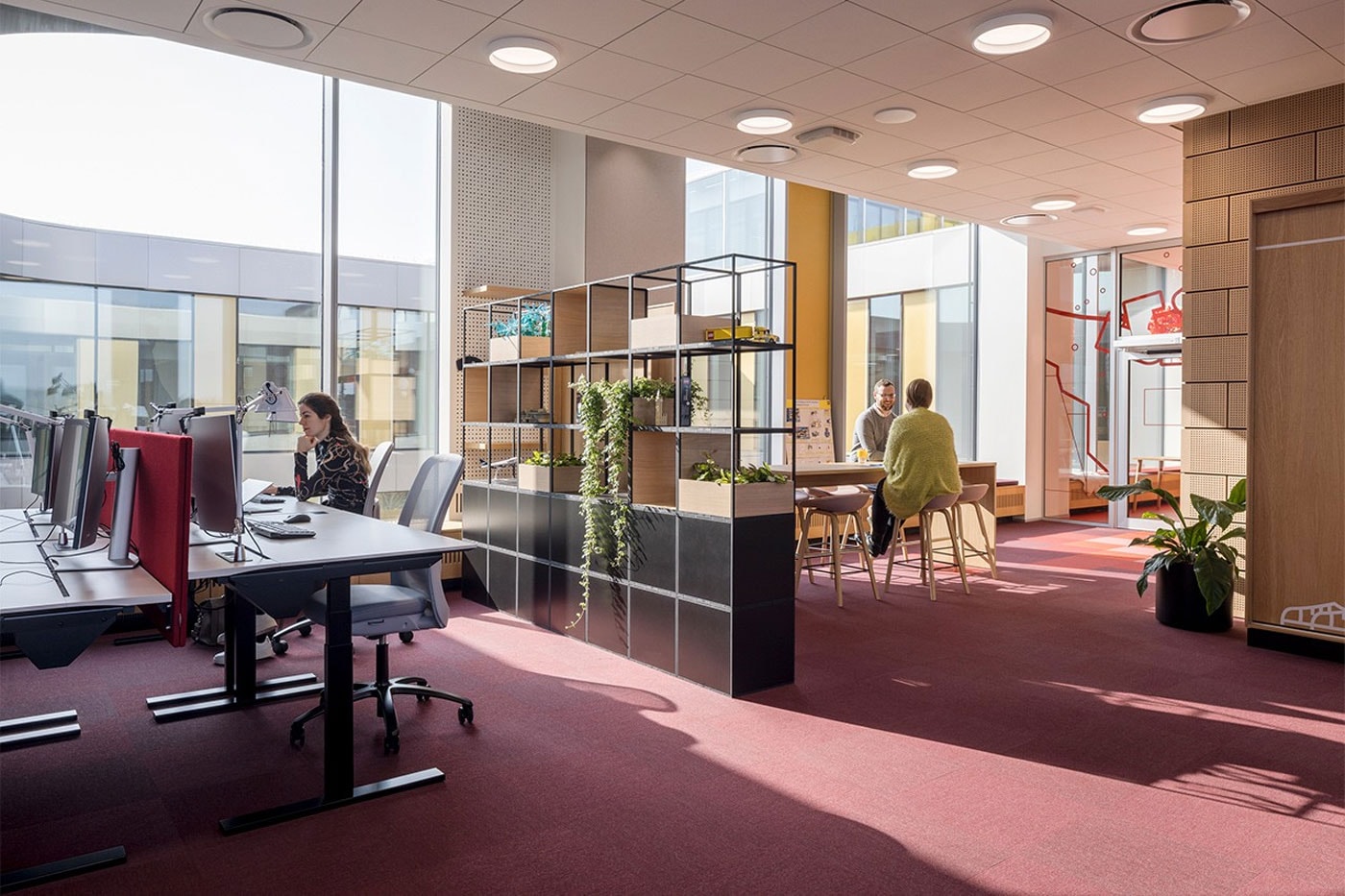 LEGO New Campus headquarters Inside Look Denmark CF Moller Architects size workplace people house fitness center workshop homestay cinema park activity zone kitchen health clinic sustainable LEED certification news 
