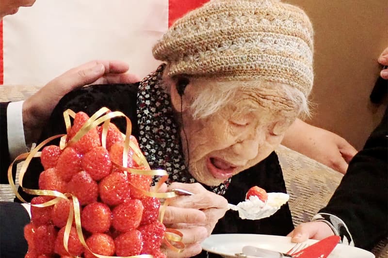 Kane Tanaka Worlds oldest person dies 119 years old  Guinness World Records records age Japan Fukuoka