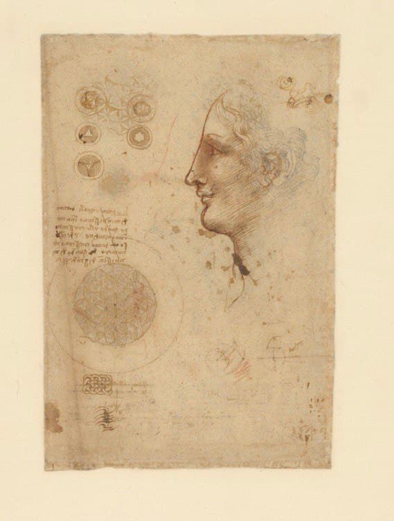 leonardo da vinci Veneranda Biblioteca Ambrosiana the visi nft