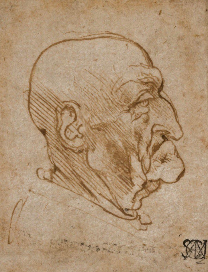 leonardo da vinci Veneranda Biblioteca Ambrosiana the visi nft