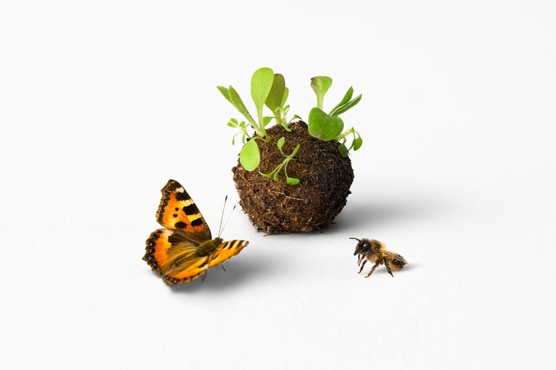WWF x IKEA Swedish "Seedballs" Insect Meatballs