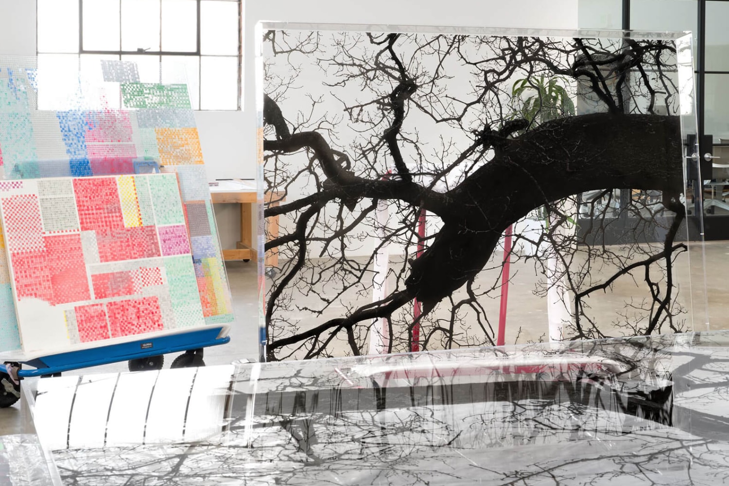 2022 Frieze Solo Exhibition in New York